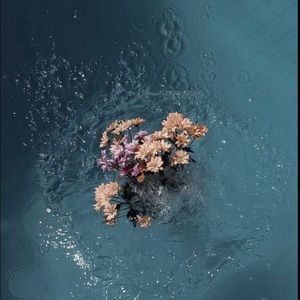 Meet your Posher, Fatima